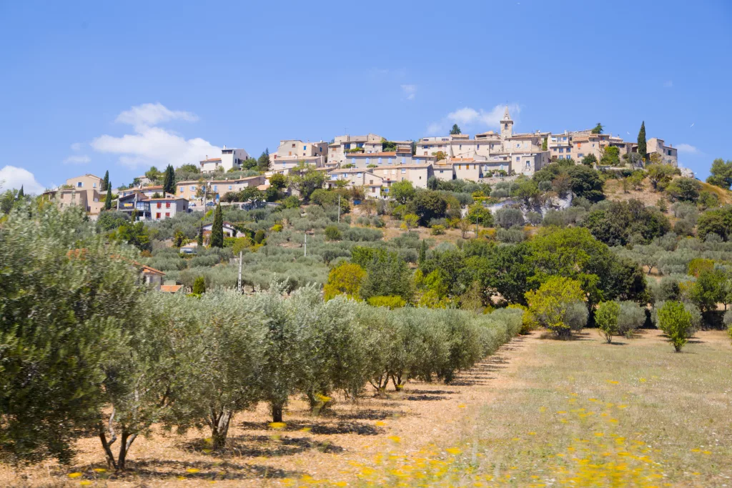 Oliveraie et village perchu00e9 en Provence
